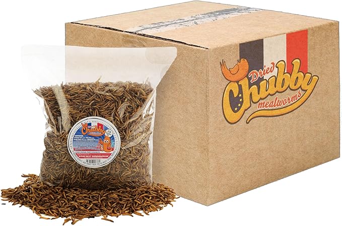 Chubby Dried Mealworms | 24 lbs | Premium EU-Grown Non-GMO Protein Treats for Chickens, Ducks, Wild Birds & Reptiles – High-Protein Chicken Feed Snack for Laying Hens
