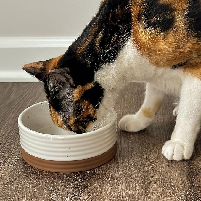 Mora Ceramic Pet Bowl Size Small - Food/Water Dish for Puppy Dogs, Cats, Guinea Pig, Rabbit, Hamster, Snake, ect. 11oz or 2 Cups - Basic Bowls for Your Dog or Cat, Mix and Match for a Set - Vanillla