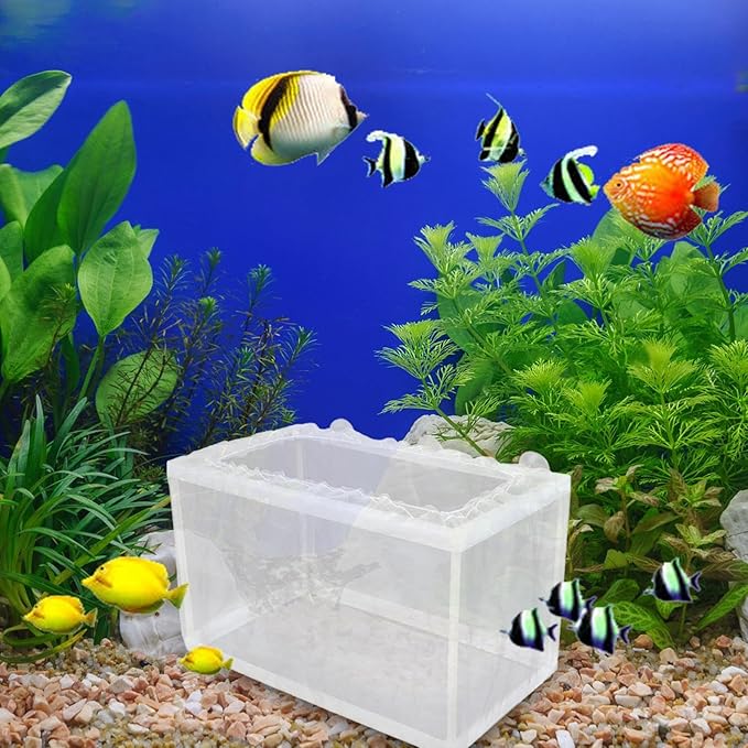 Aquarium Breeding Box - Mesh Box Fish Breeding Tanks, Aquarium Breeder Box, Fish Fry Hatchery, Juvenile Separation Net with Suction Cups, Nursery for Guppy Shrimp