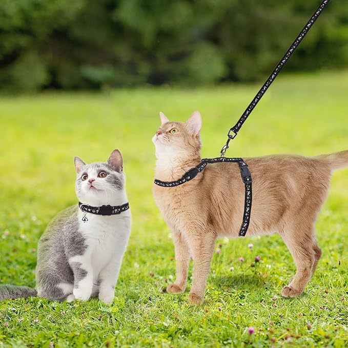 PAWCHIE Cat Harness with Leash and Collar Set - Escape Proof Adjustable Glow in The Dark Cat Harness for Kitty Outdoor Walking