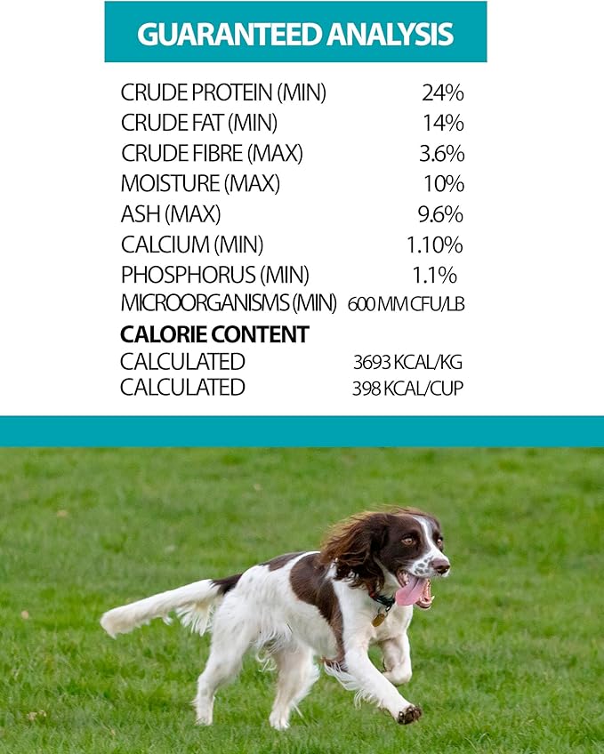 Pulsar Premium Whole Grain Dog Food | Salmon Formula | All Life Stage, Non GMO, Meat Dense Diet | 25 lb Bag