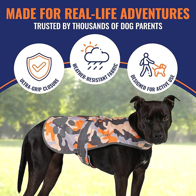 SafetyPUP XD Dog Reflective Vest – Hi-Vis Fluorescent Visibility That Helps to Safeguard Your Pet On/Off Leash in Urban & Rural Areas (Camo, Small)