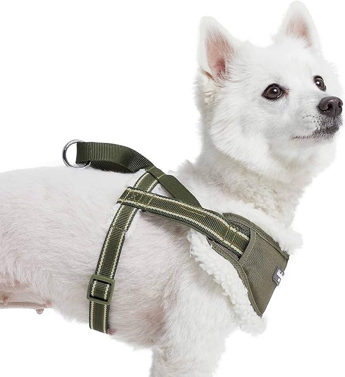 Blueberry Pet Soft & Comfy Multi-Colored Stripe Fleece Padded Chest Dog Harness, Chest Girth 16.5" - 21", Olive Green, Small, Adjustable No Pull Training Harness for Dogs