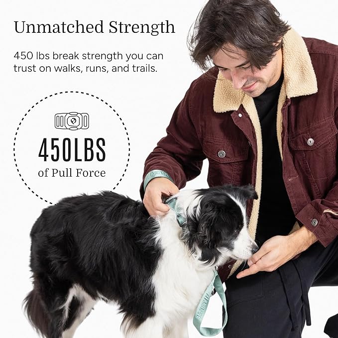 2025 New Edition, Fei & Eve MagEase Dog Collar - Patented Magnetic Buckles | Fur-Safe | Premium 210D Nylon | 450LB Escape-Proof | Adjustable Fit | Large (Glacier Green)