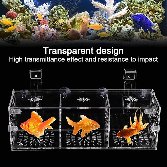 Fish Separation Box, Acrylic Transparent Fish Tank Breeding Isolation Box Aquarium Hatchery Incubator Holder(30CM*10CM*10CM)