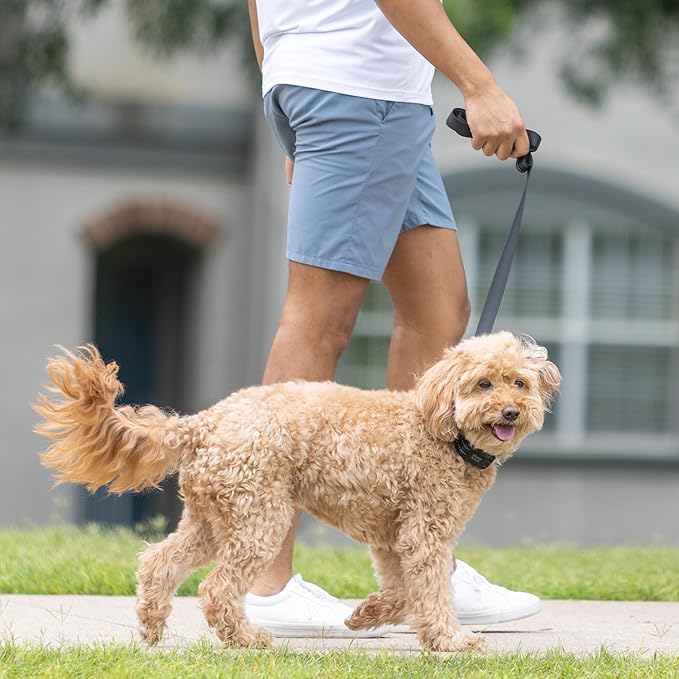 Pro No-Pull Dog Training Collar for Happier Walks, Rechargeable and Waterproof, Hands Free Device with No Remote Needed, Anti-Slip, and Safe-to-use for Medium and Large Breed Dogs (Large)