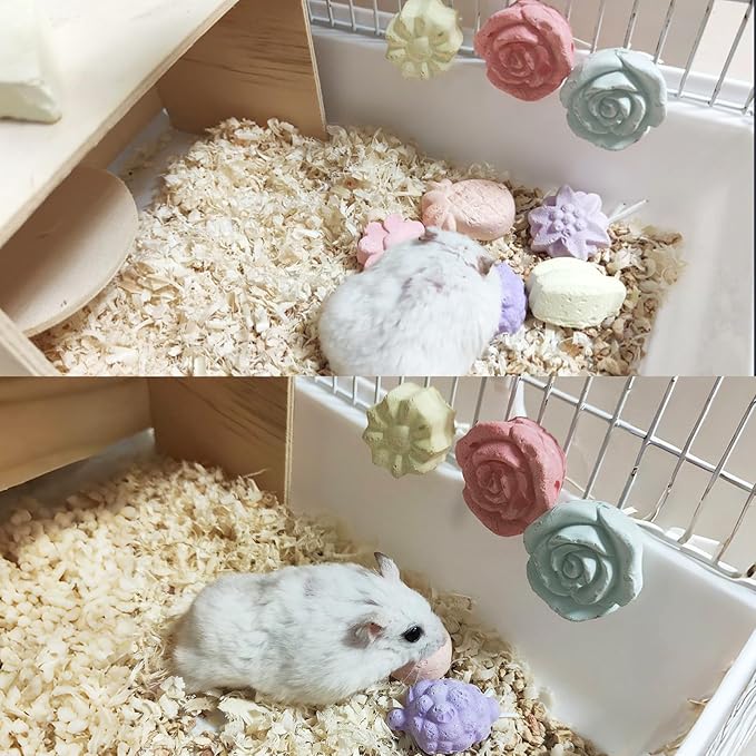 Tfwadmx Lava Block Chew Toys 12 Pcs Teeth Grinding Pet Block Pumice Calcium Stone Wood Sticks Toy for Chinchilla Hamster Mouse Squirrel Bunny or Other Small Animal