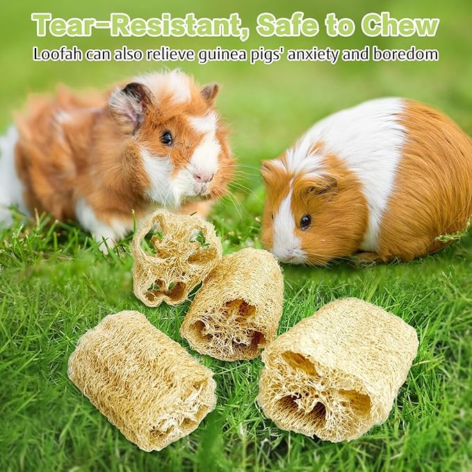 BNOSDM Bunny Chew Toys Natural Loofah 12PCS Bunny Teeth Grinding Toy Rabbit Fiber-Rich Treats Pet Entertainment Accessories for Rabbits Chinchillas Guinea Pig（S）
