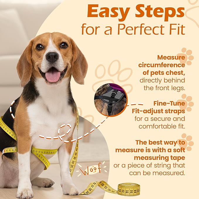 Bark Appeal Gray No-Pull Dog Harness for Medium to Large Sized Pets – Adjustable, Reflective Vest with 3 Leash Clips for Added Control, Easy Walks & Training – L