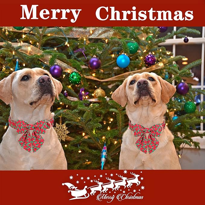 Unique style paws Christmas Dog Collar with Tie Best Winter for Small Medium Large Dogs-Christmas Tree-XS