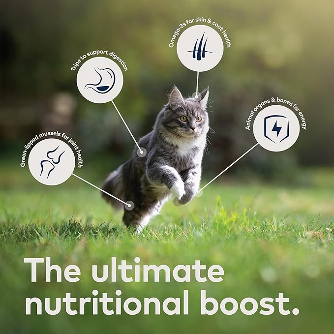 ZIWI Peak Wet Cat Food – All Natural, High Protein, Grain Free, Limited Ingredient, with Superfoods (Mackerel, Case of 24, 3oz Cans)