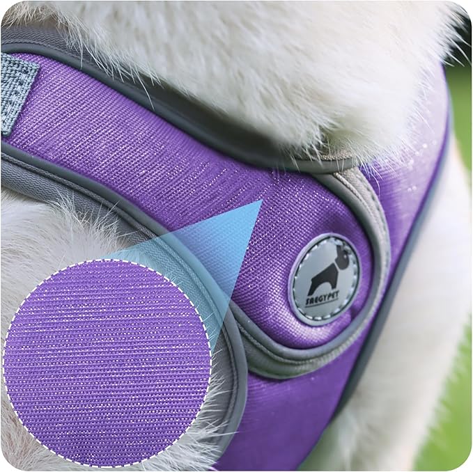 Dog Harness with Leash Set, Adjustable Step in Collars Harness with Breathable Padded Vest for Medium Dogs Training and Running (M, Purple)
