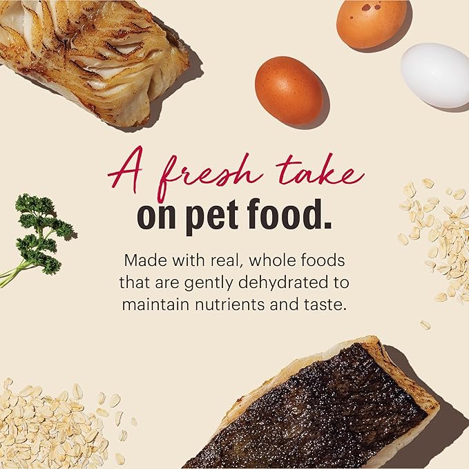The Honest Kitchen Human Grade Wholemade™ Dehydrated Whole Grain Fish & Oats Dog Food, 10 lb Box