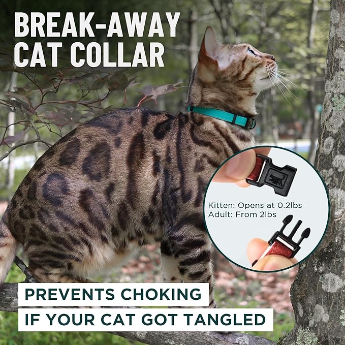 OutdoorBengal Green Cat Collar Breakaway, Soft Padding for Medium to Large Cats - Durable Heavy Duty Tactical Fabric, Comfortable, Quick Release Breakaway Cat Collars, No Bell Collar (Green, Adult)