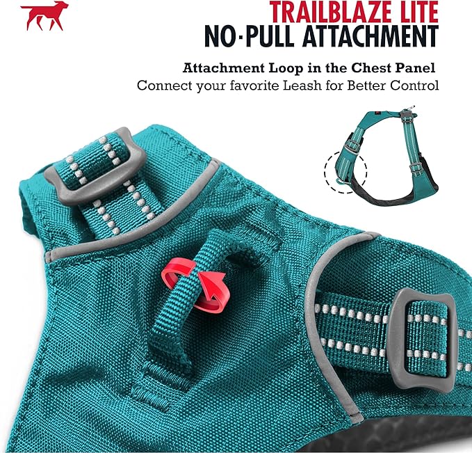 Tuff Pupper All-Day Wear Dog Harness | for Walking, Trail Running, Hiking | Front & Back Leash Clips | Reflective Trim | Easy On/Off Buckles | Lightweight Breathable | No Pull Design (XXXS, Teal)