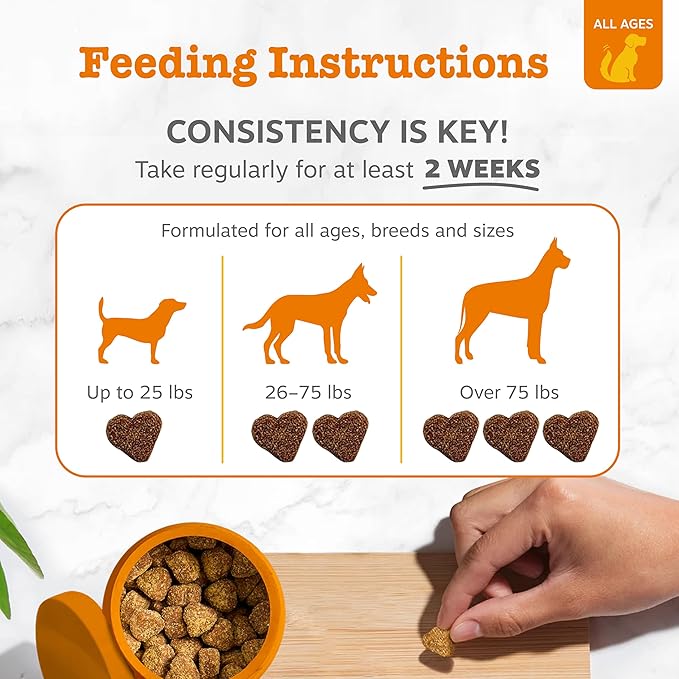 Zesty Paws Hip and Joint for Dogs, Glucosamine for Dogs Hip and Joint Supplement with Chondroitin, MSM, Vitamins C & E - Bacon, 90 Count