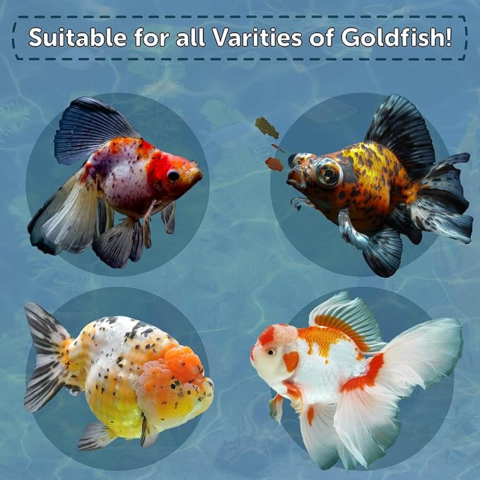 Aquatic Foods Inc. Goldfish Flakes, 42% Protein Premium Goldfish Flakes for Aquarium and Pond Fish. Also Good for Koi 2.65oz Canister