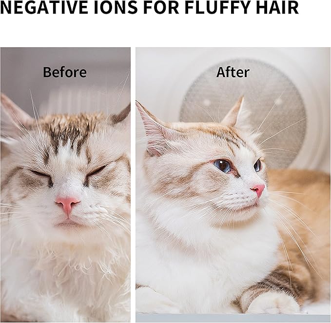 PETKIT AIRSALON MAX Automatic Pet Hair Drying Box for Cat Puppy Kitten,Ultra Quiet Hair Dryer for Small Dog Grooming,60L Large Capacity/Smart Temperature Control via App and Touch Panel