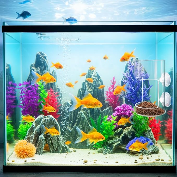 2PCS Orbicular Fish Tank Feeding Tray with Suction Cup, Acrylic Clear Fish Tank Accessories, Preventing Food Scattering Reduced Filter Clogging Tanks Suitable for All Kinds of Food Tanks Accessories