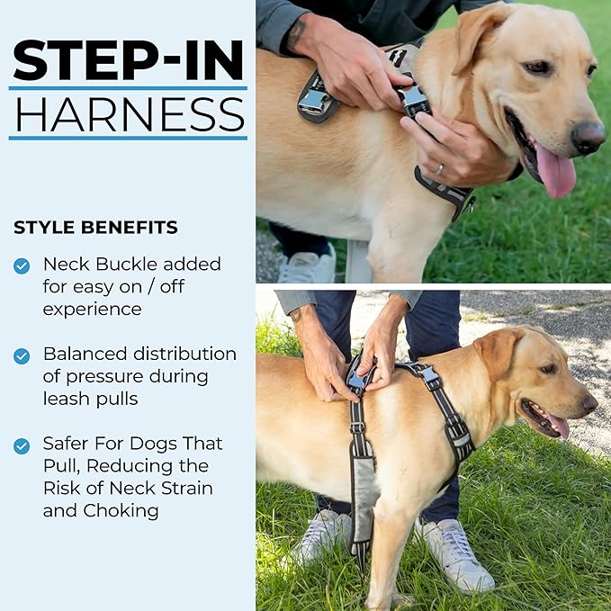 Step in Dog Harness for Medium Dogs, Silver Gray, Adjustable, Easy On Off, No Pull Through Design, 2 Dog Leash Points, 3M Reflective Trim, Neoprene Padded Control Handle
