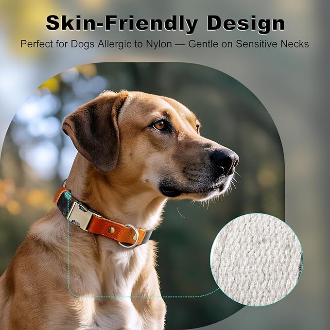 Plutus Pet Genuine Leather & Hemp Dog Collar – Adjustable Heavy Duty Pet Collar with Quick Release Metal Buckle, Soft & Stylish for Puppy and Small, Medium, Large Dogs (Black, XS)