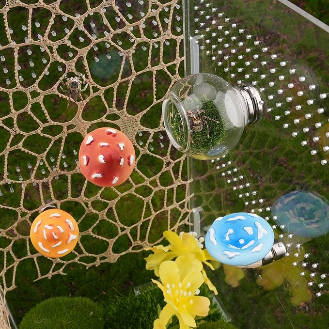 6pcs Jumping Spider Accessories Glass Ball Hide Habitat Mushroom Platform Spider Webbed Moss Ribbons Decorating Jumping Spiders Enclosure Accessories for Climbing Resting and Exploration