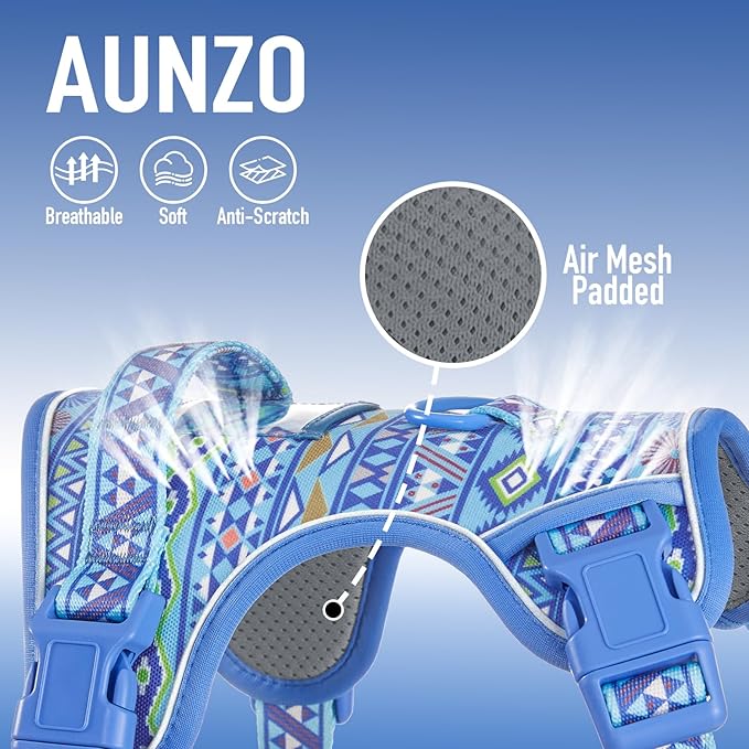 Dog Harness for Medium Large Dogs, No Pull Pet Harness with 2 Leash Clips, Adjustable Soft Padded Dog Vest, Reflective Pet Oxford Vest with Easy Control Handle, Blue Ethnic M