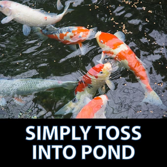CrystalClear Staple Pond Fish Food for Healthy Koi & Goldfish, Protein Packed Floating Pellets for Summer Nutrition, Easy Digestion, 2.2 Pound Bag