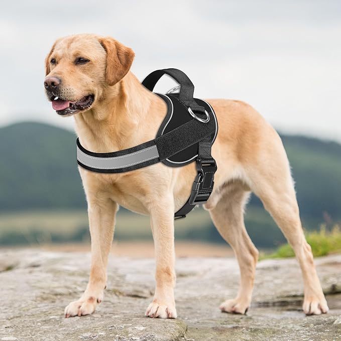 Haapaw Essential Dog Harness, No Pull Pet Vest with 3 Leash Clips, No Choke, Reflective, Adjustable and Padded, for Easy Walking and Training for Large Dogs(L, Black)