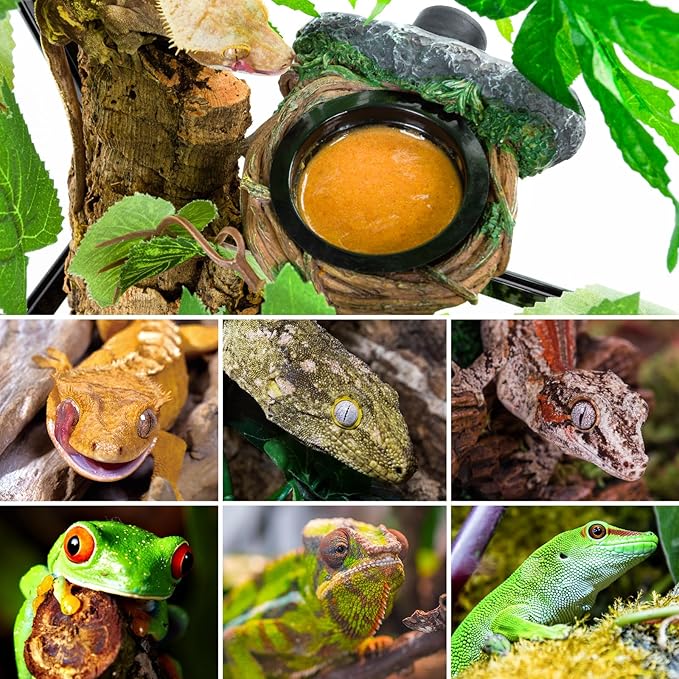 REPTI ZOO Magnetic Reptile Feeding Ledge, Gecko Feeder Ledge with 2PCS Cups, Hollow Vine Food Dish, Reptile Water Bowl for Bearded Dragon Lizard Snake, Terrarium Tank Accessories