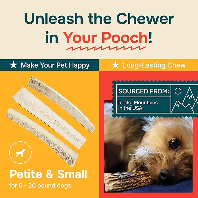 100% Natural - Split Antlers for Dogs ( 3pack ) - Naturally Shed in USA - Grade A Long Lasting Chew for Aggressive Chewers - Elk Antlers Dog Antler Chews - Treats & Toys - No Odor & No Mess - Small