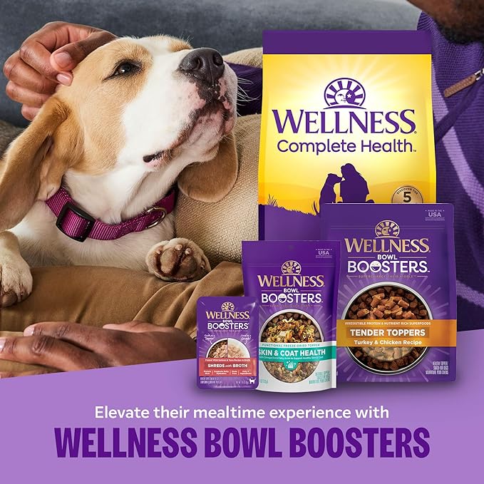 Wellness Complete Health Sensitive Skin & Stomach Dry Dog Food, Wholesome Grains, Salmon & Rice Recipe, (38-Pound Bag)