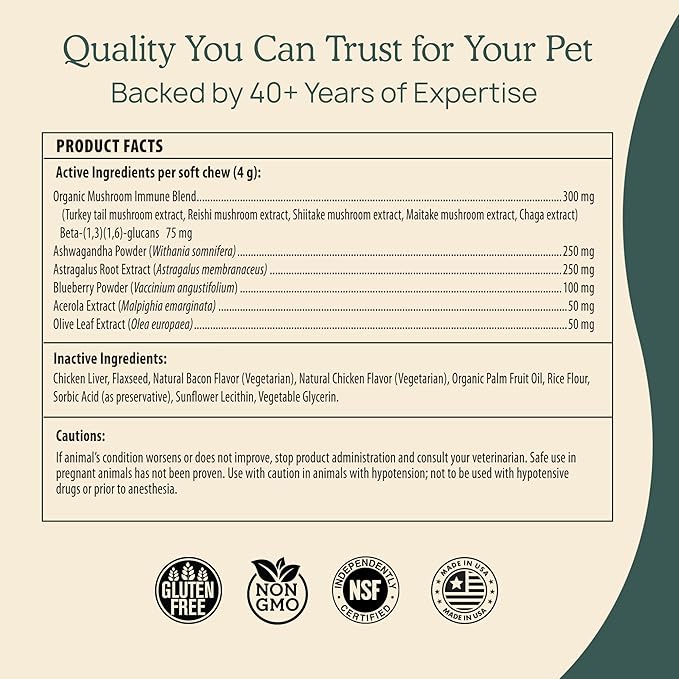 Real Mushroom Immune Pet Chews – For Daily Digestive & Immune Health – Mushrooms for Dogs & Cats Functional Treat – Mushroom Supplement for Dogs & Cats – 1 to 4 Chews For All Breeds & Sizes (60 Count)