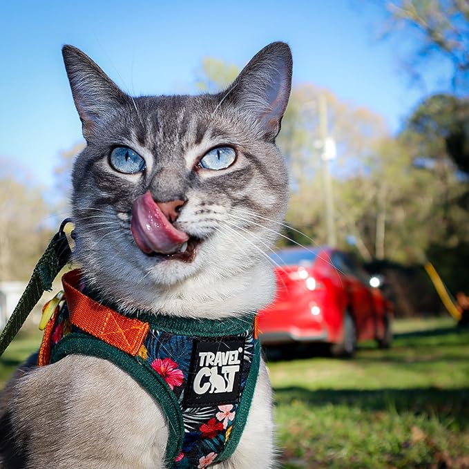 Travel Cat Harness and Leash Set - Adjustable Fit Mesh Cat Harness and Reflective Strap - Comfort Walking Vest for Kitten for Outdoor Walking, Hiking (Medium, Hawaiian)