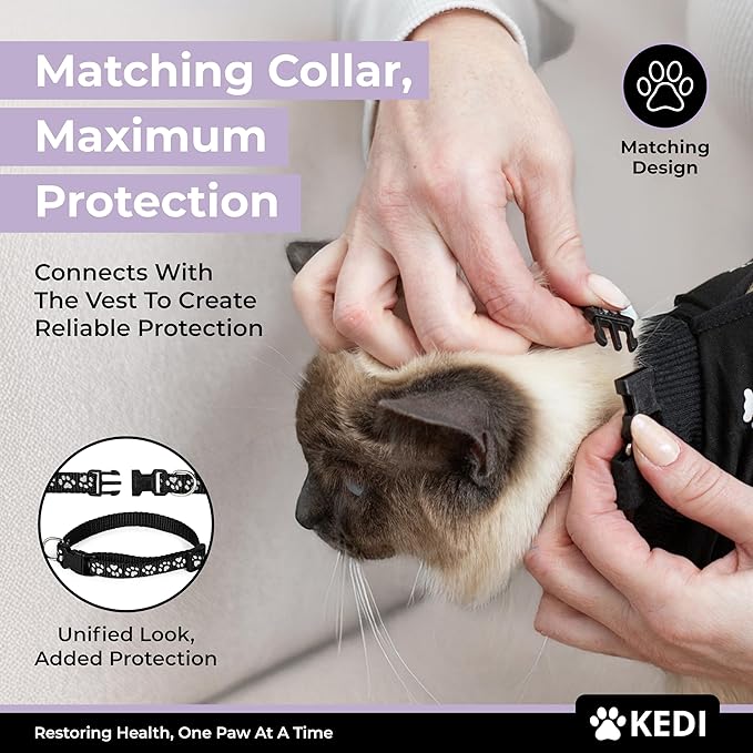 Cat Surgery Recovery Suit Female Cat Onesie for Cats After Surgery Spay Surgical Abdominal Wound Skin Diseases E-Collar Alternative Wear Kitten (Black, Large)