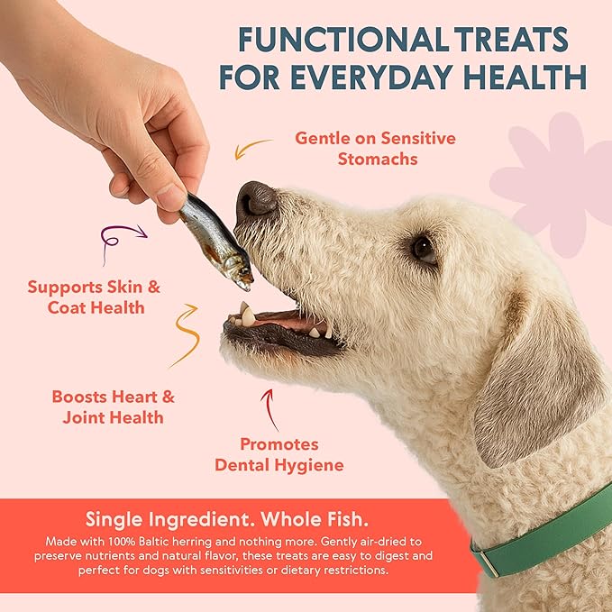 Eli Baltic Herring – A Natural, Protein-Packed Dog Treat Made from Whole Small Fish, Rich in Omega-3, Ideal as a Flavorful Snack or Meal Topper, Single Ingredient, Grain Free, Air Dried – 2 Pack