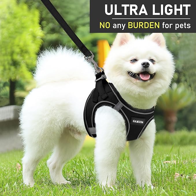 GAMUDA Small Dog Harness Collar and Leash Set, Step in No Chock No Pull Linen Fabric Soft Mesh Dog Vest Harnesses Reflective for Dogs Puppy Cats Kitten Rabbit (Black, L)