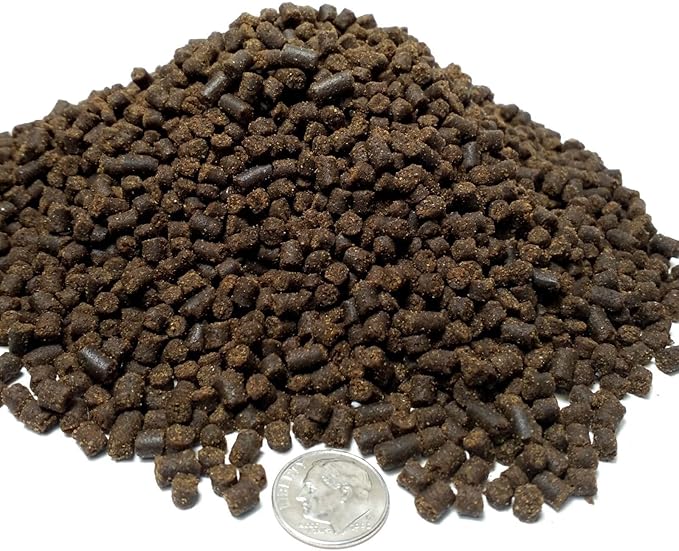 Aquatic Foods Inc. Axolotl Food 1/4" - 6mm Soft Moist Sinking Salmon Meal Pellets for Adult Axolotl, Aquatic Newts, Shrimp, Snails, Bottom Fish, All Tropical Fish…6.5oz Sm Round Jar