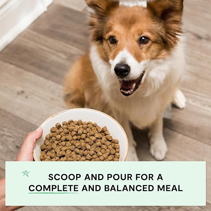 Open Farm, Grain-Free Dry Dog Food, Complete & Balanced Kibble, Sustainably & Ethically Sourced Ingredients, Non-GMO Veggies & Superfoods to Support Overall Health, Wild-Caught Salmon Recipe, 4lb Bag