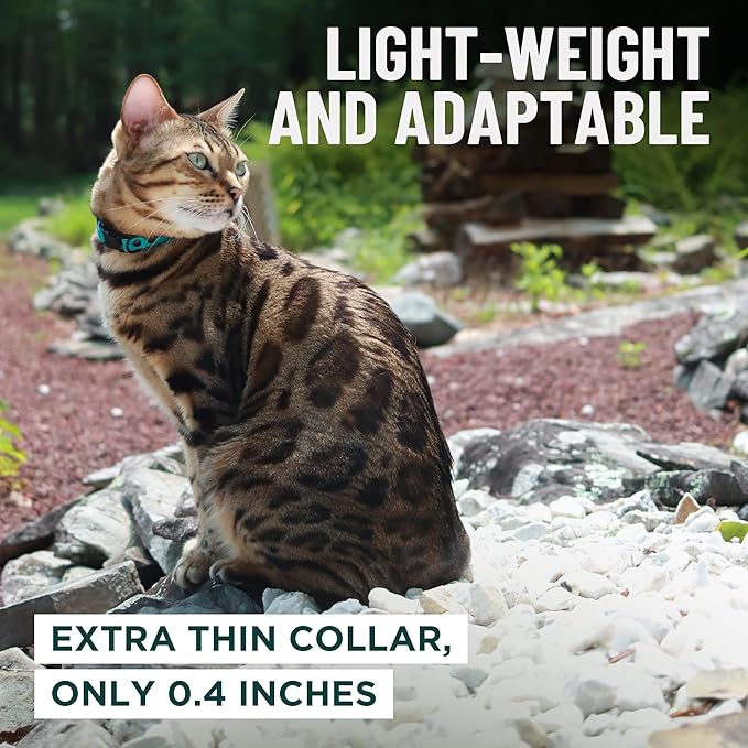 OutdoorBengal Black Cat Collar Breakaway, Soft Padding for Medium to Large Cats - Durable Heavy Duty Tactical Fabric, Comfortable, Quick Release Breakaway Cat Collars, No Bell Collar (Black, Adult)
