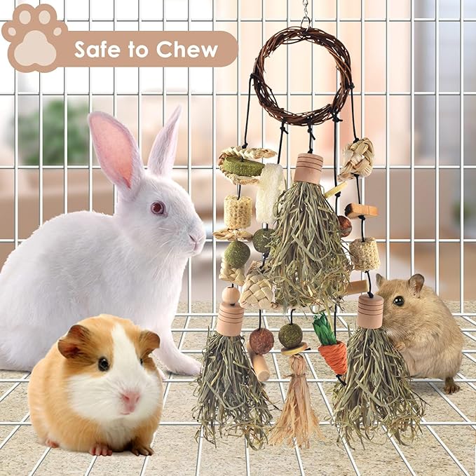 Bissap Rabbit Chew Toy, Bunny Cage Hanging Chewing Toys and Treats Wooden with Snacks for Guinea Pigs Chinchillas Hamsters Rats and Other Small Pets Teeth Grinding (Timothy Hay & Vine)