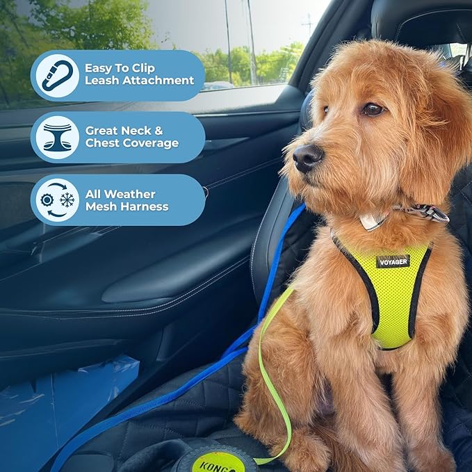 Best Pet Supplies Voyager Step-in Air Harness - All Weather Mesh, Reflective, No Pull Harness for Dogs, Cats - Secure with Hook & Loop Fastener, Buckle, Double D-Rings - Lime Green/Black Trim, L