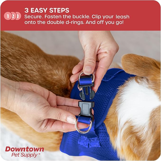 Downtown Pet Supply Step in Dog Harness for Small Dogs No Pull, X-Small, Blue - Adjustable Harness with Padded Mesh Fabric and Reflective Trim - Buckle Strap Harness for Dogs