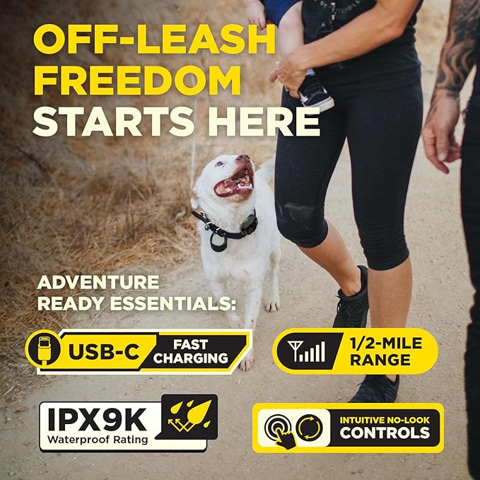 Dogtra 200iQ Remote Training E Collar – 100 Levels, Tone, Vibration, 1/2 Mile Range – Compact, Waterproof, One-Handed Control for Dogs 10 lbs+ – Lightweight Design for Daily Training – Flower Power