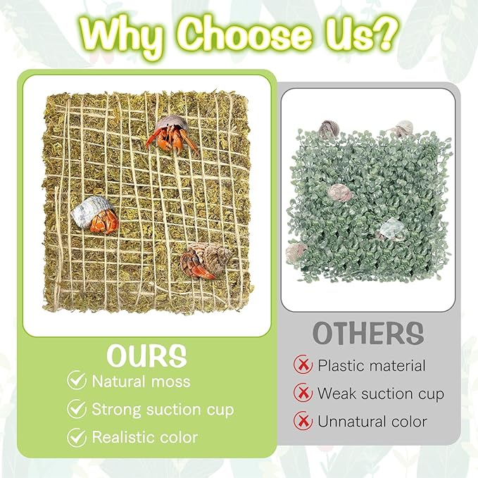 4 PCS Hermit Crab Climbing Wall 6 Inch Natural Moss Climbing Toy Reptile Decor with Suction Cups & Hemp Rope Hermit Crab Supplies for 10 Gallon Hermit Crab Tank