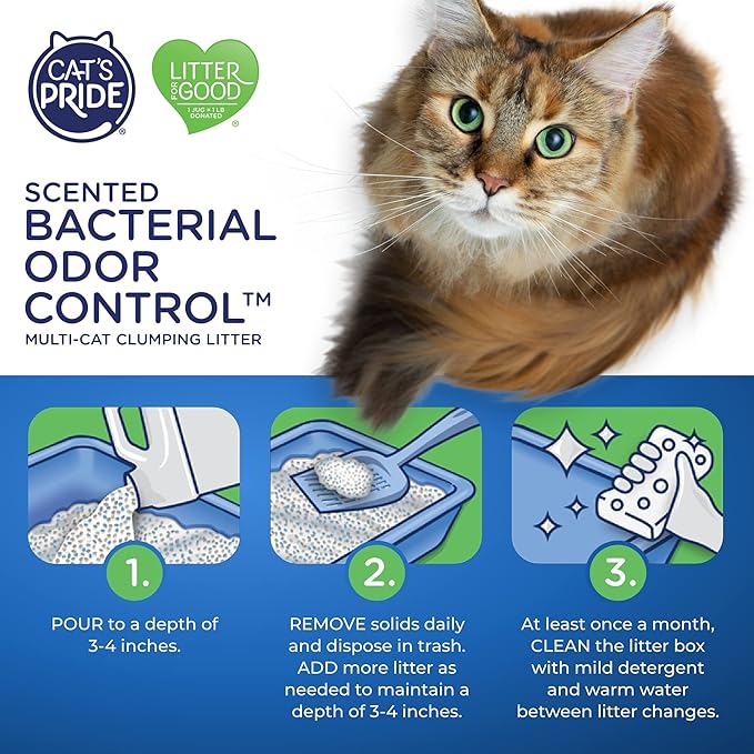 Cat's Pride Max Power: Bacterial Odor Control - Up to 10 Days of Powerful Odor Control - Strong Clumping - 99% Dust Free - Multi-Cat Litter, Scented, 15 Pounds