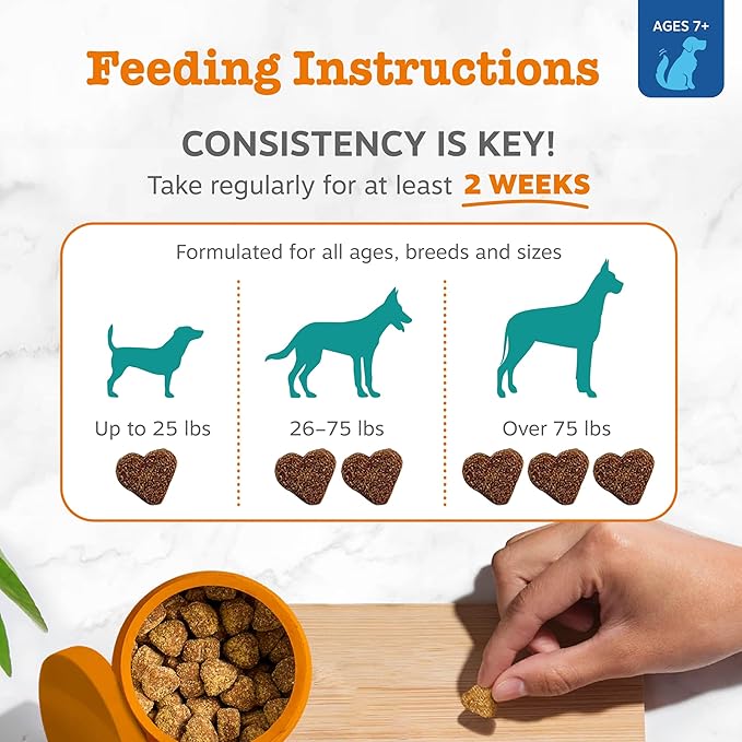 Zesty Paws Senior Advanced Calming & Cognition Soft Chews for Dogs - Supplements for Dog Brain Health & Nervous System Support + Calming & Relaxation -with Ashwagandha, DHA & Melatonin