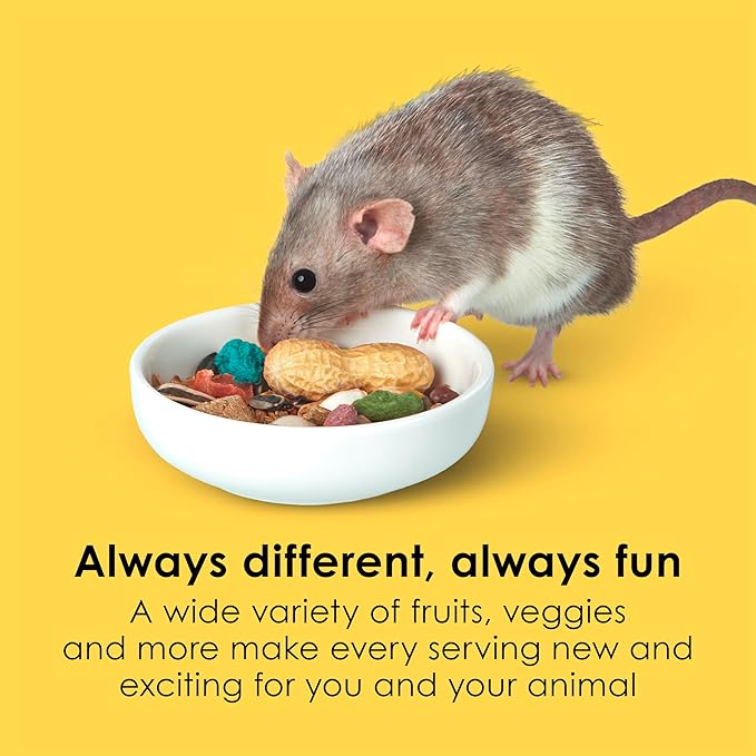 Kaytee Fiesta Mouse & Rat Food, Nutritious and Fun Blend, Supports Dental Health and Digestion, 4.5 pounds
