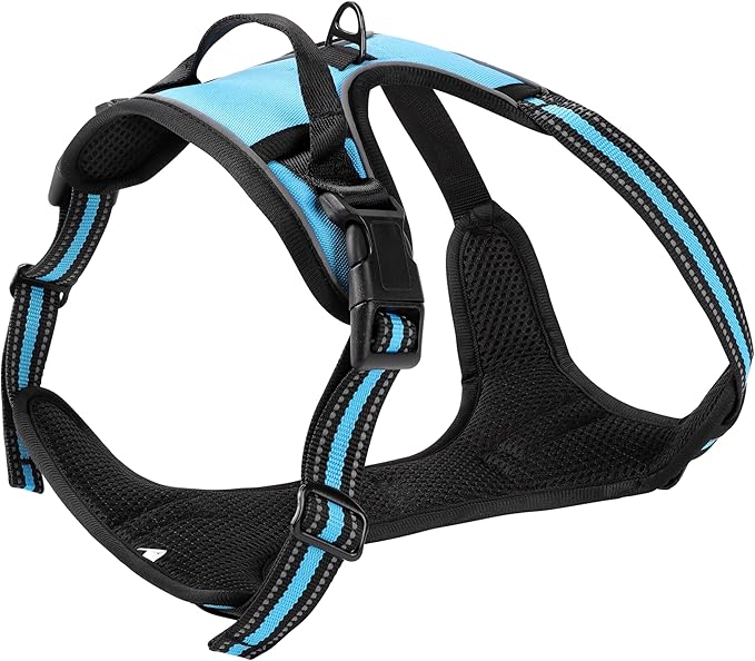 Blue No-Pull Dog Harness with 2 Leash Clips，Soft Padded Vest for Small Dog, Adjustable Reflective Dog Vest Easy to Put on and Take Off,(Neck: 13"~17", Chest: 17"~21",Blue Small)