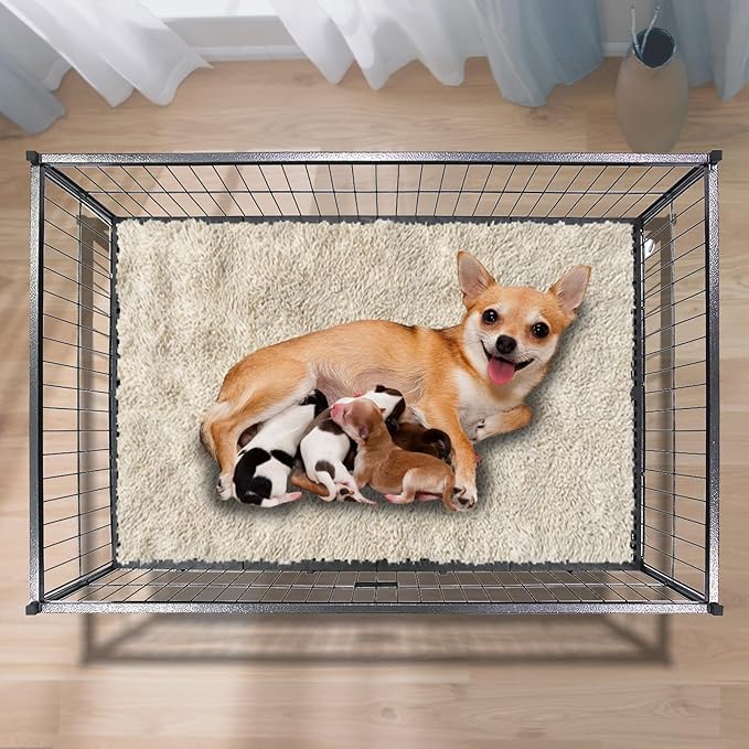 Homey Pet Three Packs 43" Dog Whelping Box for Puppies, Heavy Duty Metal Whelping Box for Small Breed Dogs with Washable Plastic Floor, Removable Tray and Four Lockable Wheels